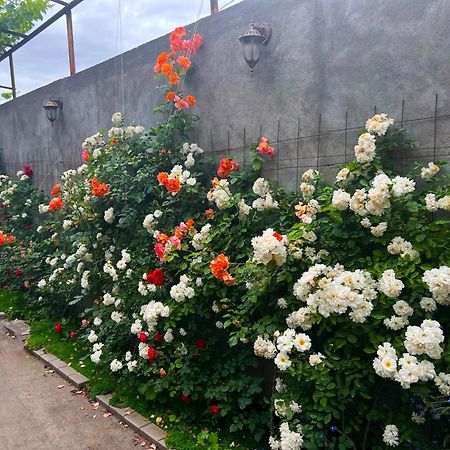 Hillside Guest House Yerevan Bagian luar foto
