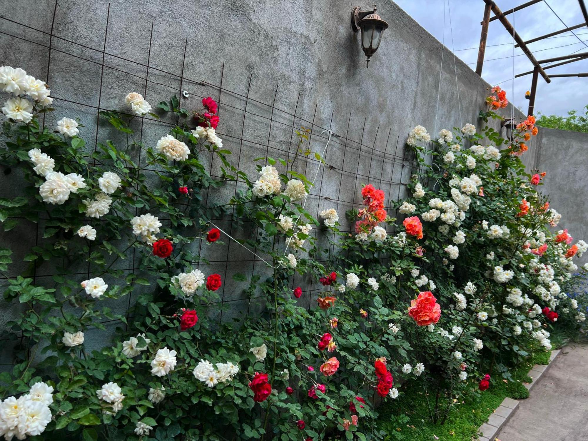 Hillside Guest House Yerevan Bagian luar foto