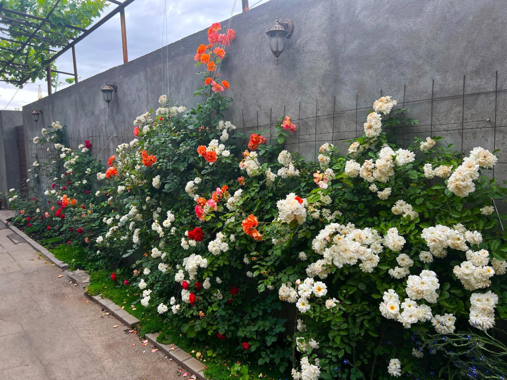 Hillside Guest House Yerevan Bagian luar foto